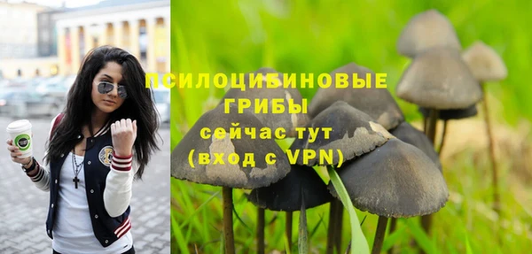 сатива Балабаново