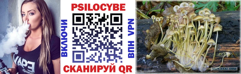 наркота  Кологрив  Псилоцибиновые грибы Magic Shrooms 